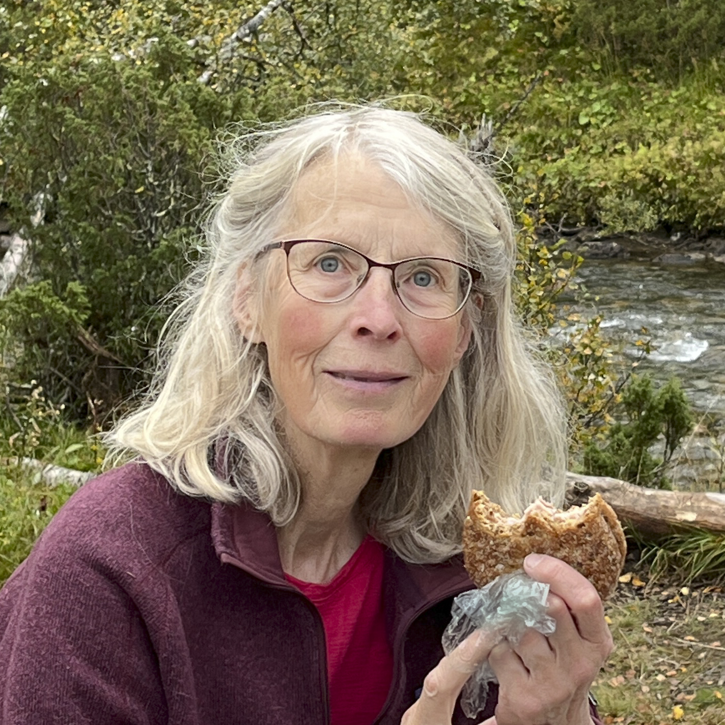 Agneta Pettersson DFK styr